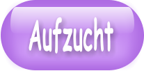 Aufzucht